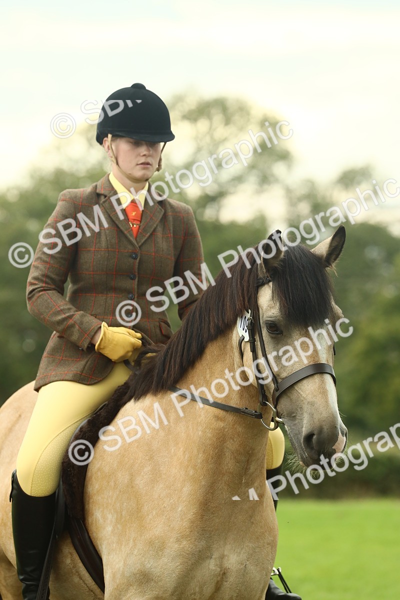SBM_72261 - S60 - Mountain & Moorland Ridden Large Breeds