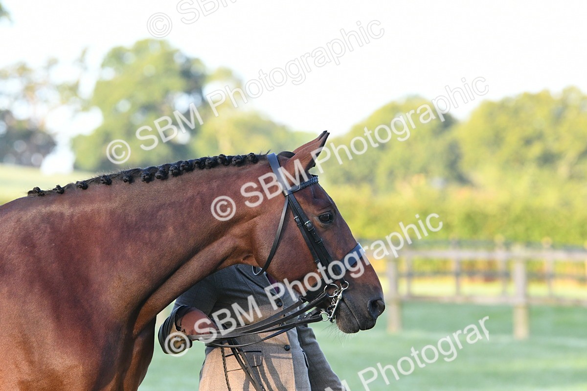 SBM_32436 - S15 - Condition & Turnout In Hand