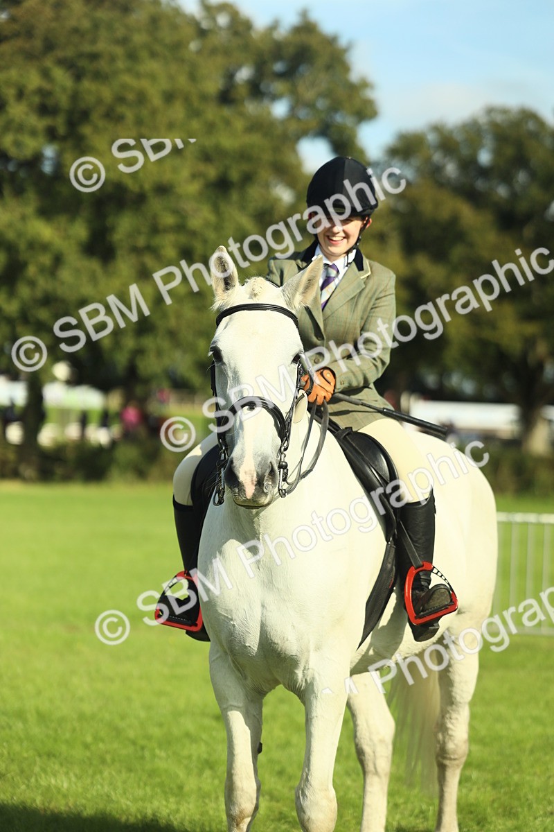 SBM_49852 - S32 - Novice & Newcomers Working Hunter