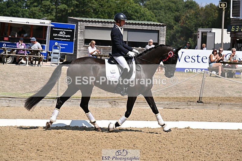 250810A-123419-06397 - Adv Medium GOLD Presentations