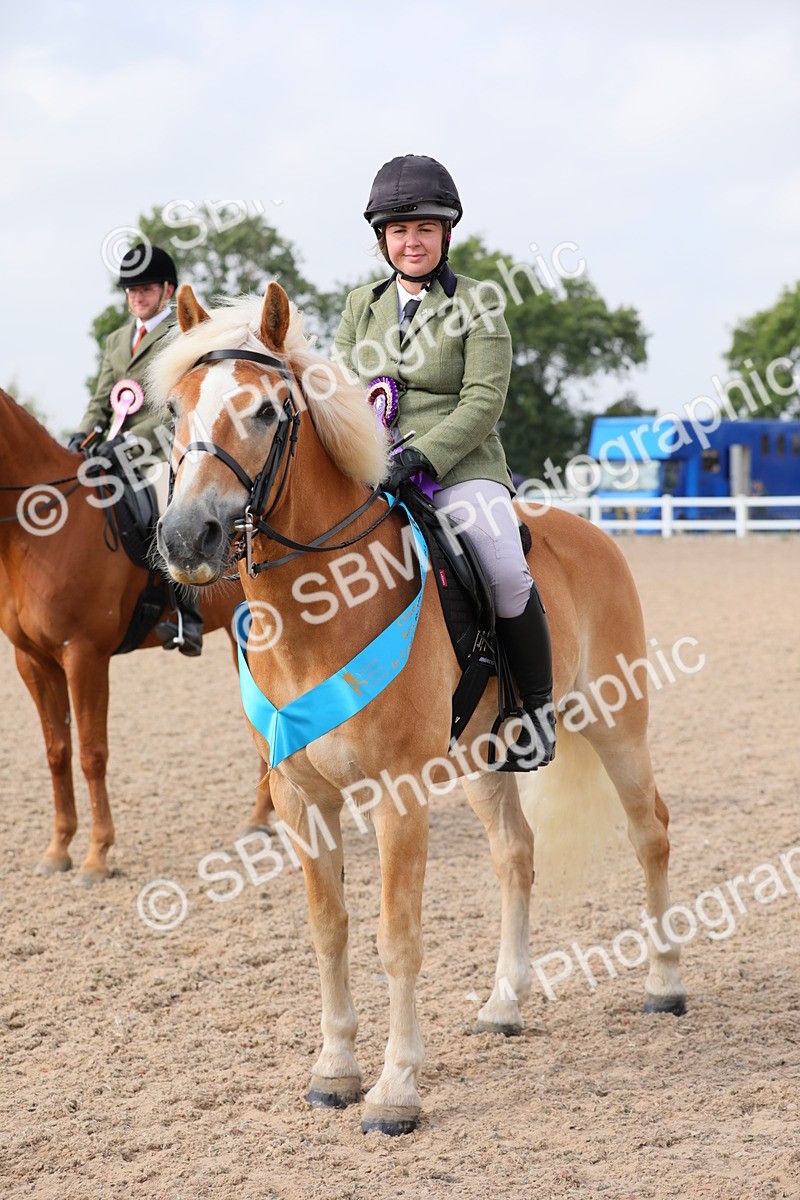 SBM_11496 - Class 305 Ridden Foreign Breeds- Pure Bred