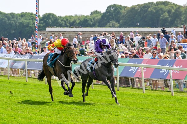 130625-Race 4-India Love-9231 - Race 4 3.35pm Juddmonte EBF Fillies' Restricted Novice Stakes