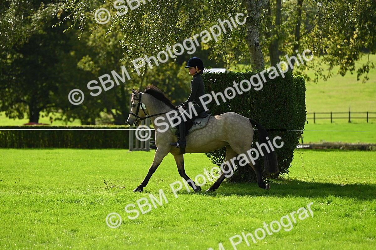 SBM_02776 - S3 - TSR Ridden Pony Showing