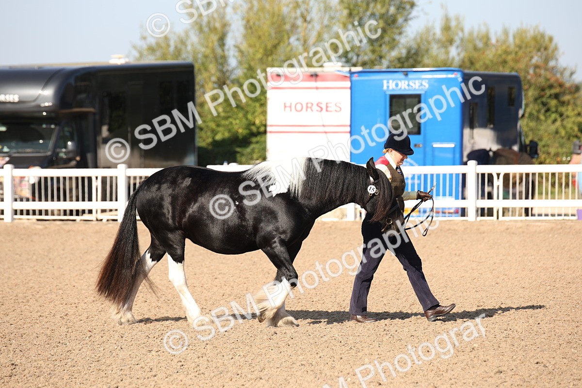 SBM_01424 - Class 15 IH Coloured