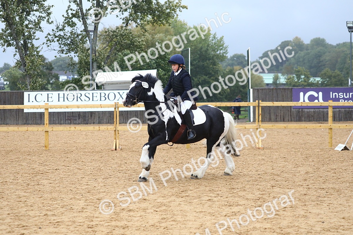 SBM_71622 - J4 - Mini Tour Junior Pony 45cm Championship
