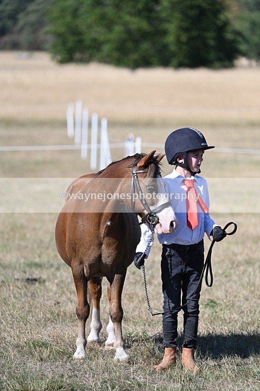 WJ7_2098 - Class 44 Child's Best Friend