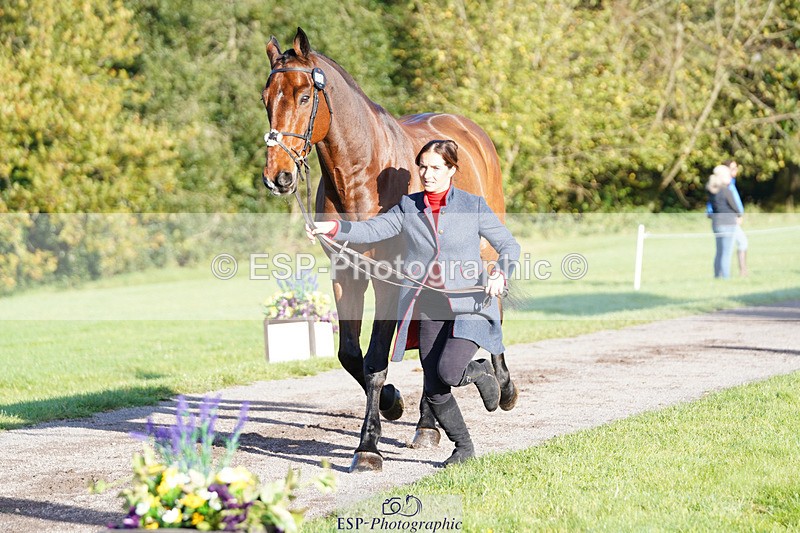 241026-101332-11695 - 053-Lois.Teal-Z7.CATASTROPHE