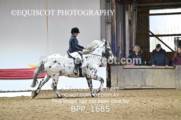 BPP_1685 - PC NOVICE DRESSAGE