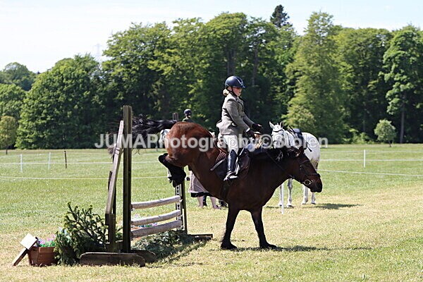 IMG_3604 - Working Hunter