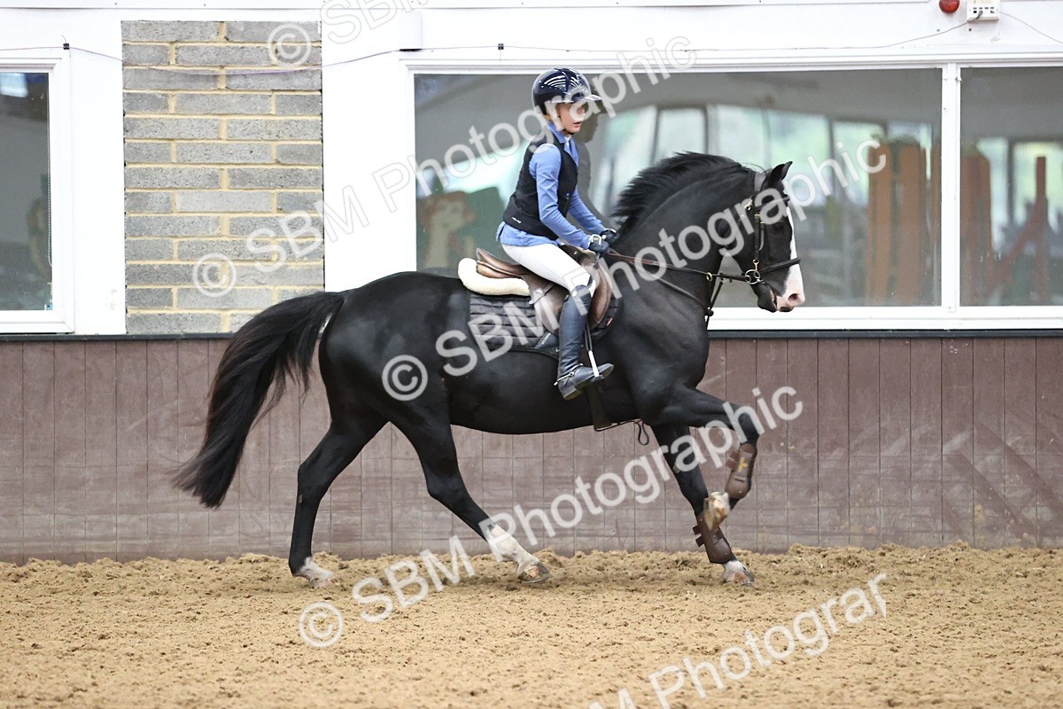 SBM_003269 - Class 10 - STX UK Pony British Novice 80cm
