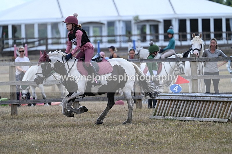 WJ7_0669 - 60cm Time 12:26 to 12:46