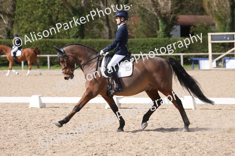 20260405-0913 - Pony FEI