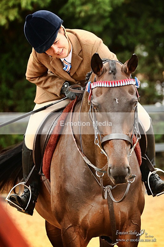 BSHA 110926 881a - Equestrian