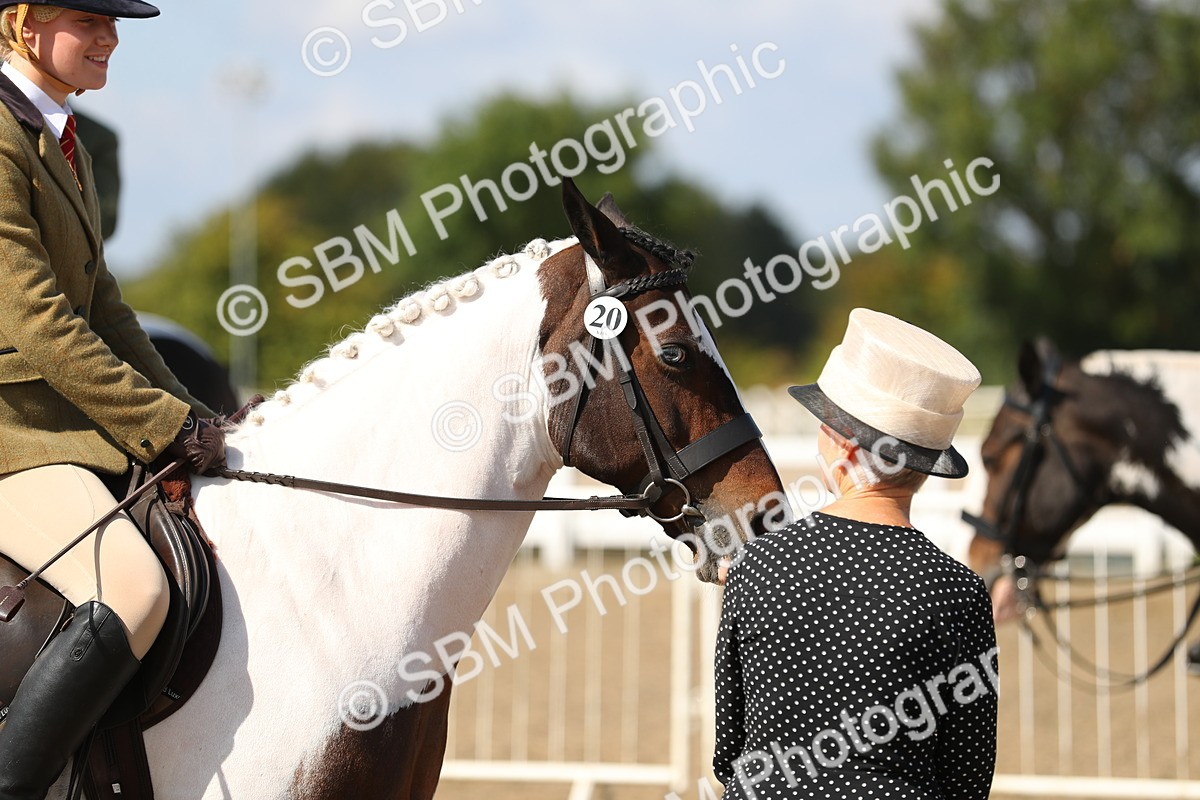 SBM_03238 - Class 44 Riding Club Horse/ Pony