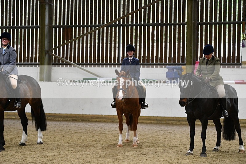 WJ5_8056 - Class 13 Ridden Part Breed