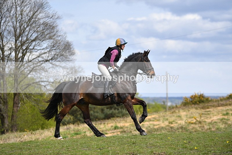 WJ5_2779 - Time 13:16 to 13:52