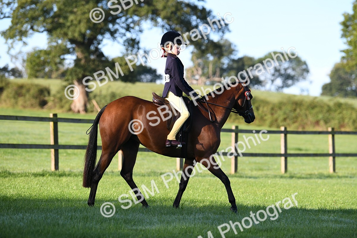 SBM_33917 - S16 - Condition & Turnout - Ridden
