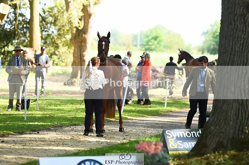 230524-164316-01045 - 112-BILLY_MAPLE-Kitty_King-WEDTrotUp+DR