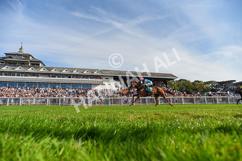 140826-Race 1-Final Objective-6544 - Race 1 17.33pm Ray And Eileen Mclean Memorial EBF Maiden Stakes