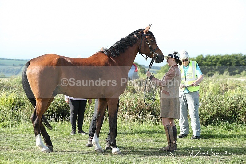 SPXX0115 - Friday vetting