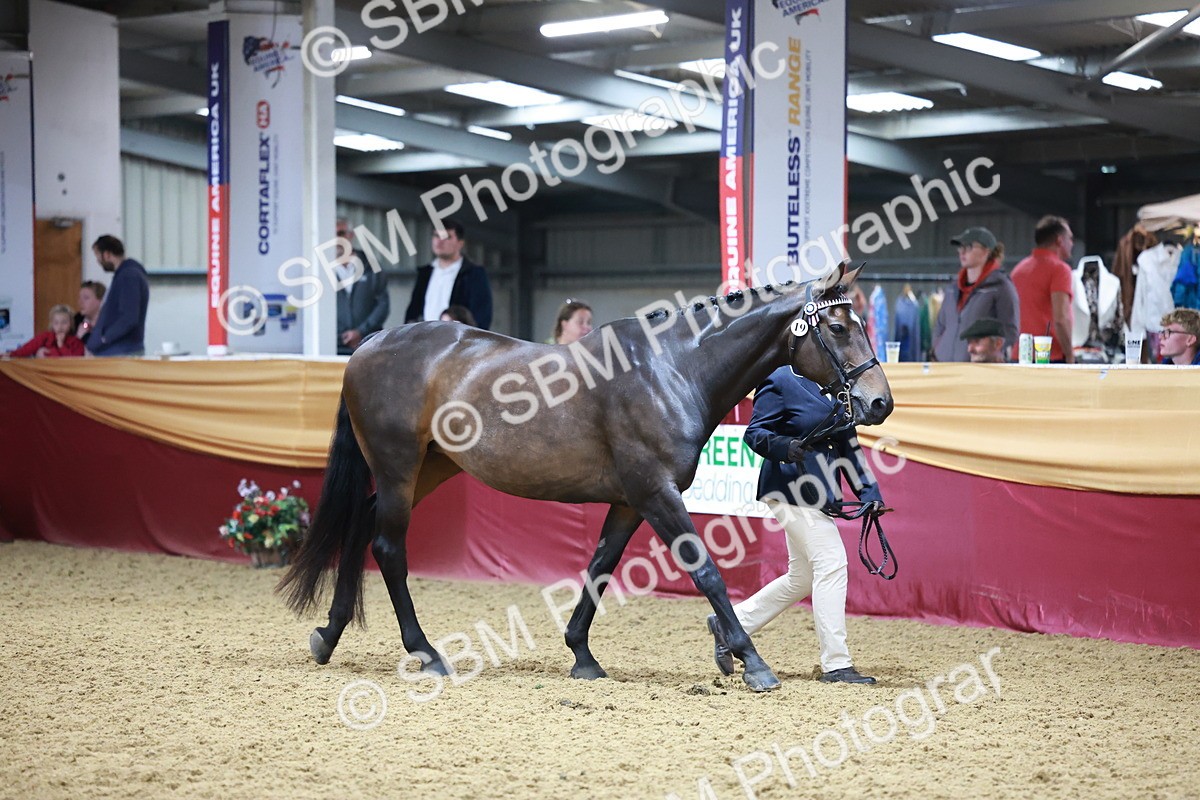 SBM_20090 - Class C - Novalty Champ