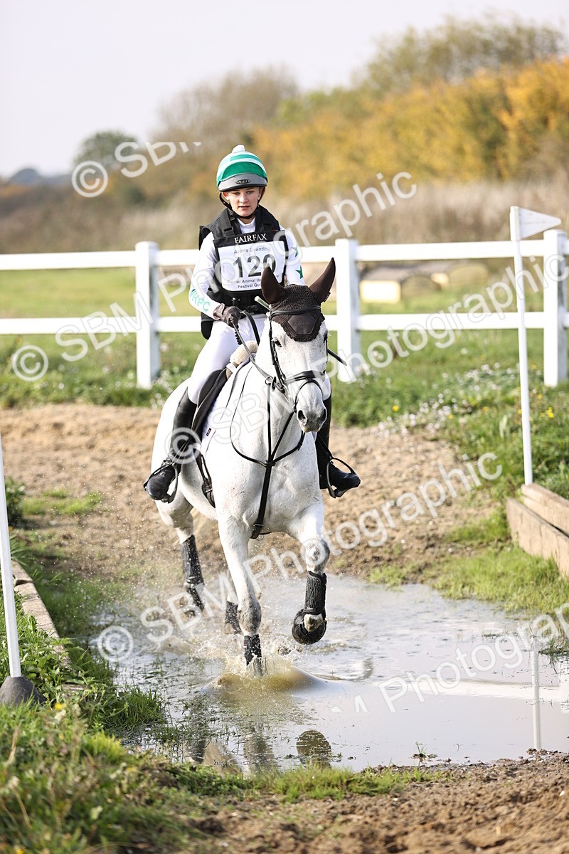 SBM_003341 - Class 3 - 90cm