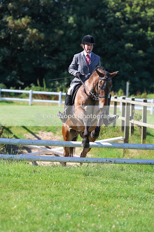 3E7A7801 - Class 2: Open Working Hunter pony