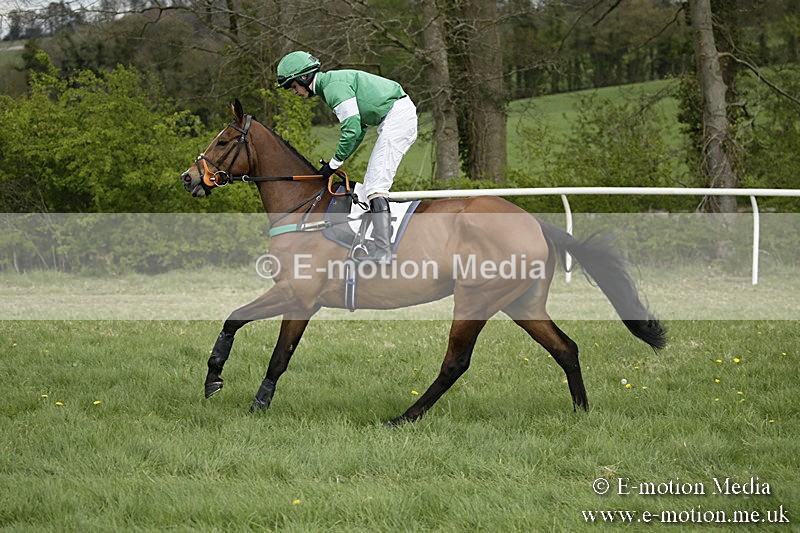PtP 170417 140 - Old Berks Point-to-Point Lockinge 17/04/17
