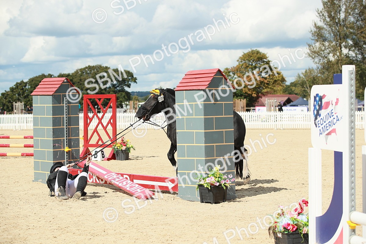 SBM_06230 - J29 Senior 65cm Championship
