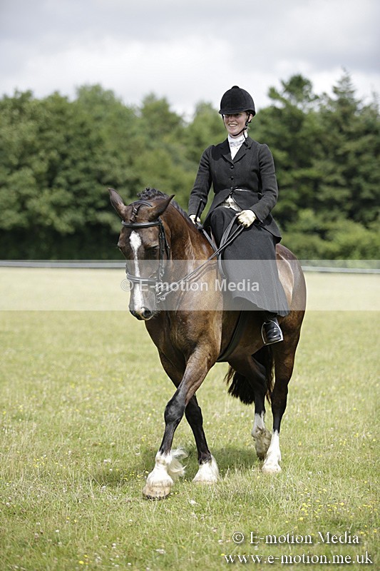 BVR160717-1980 - Side Saddle Classes 16/07/17