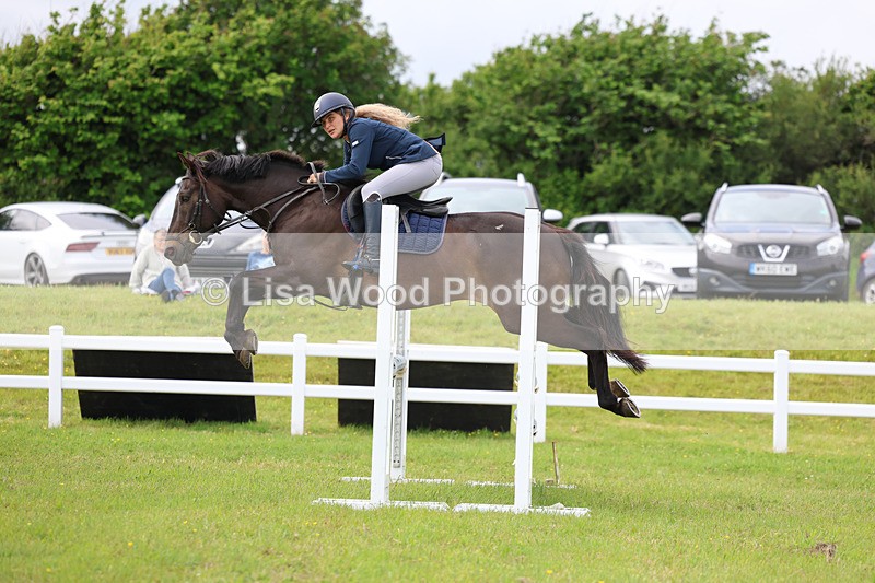 3E7A7604 - Class 13: Senior British Novice/90cm open