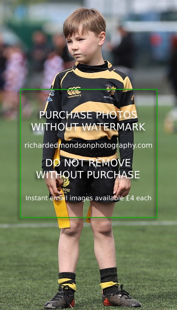 IMG_3179 - Kendal Rugby Under 7's (27/4/24)