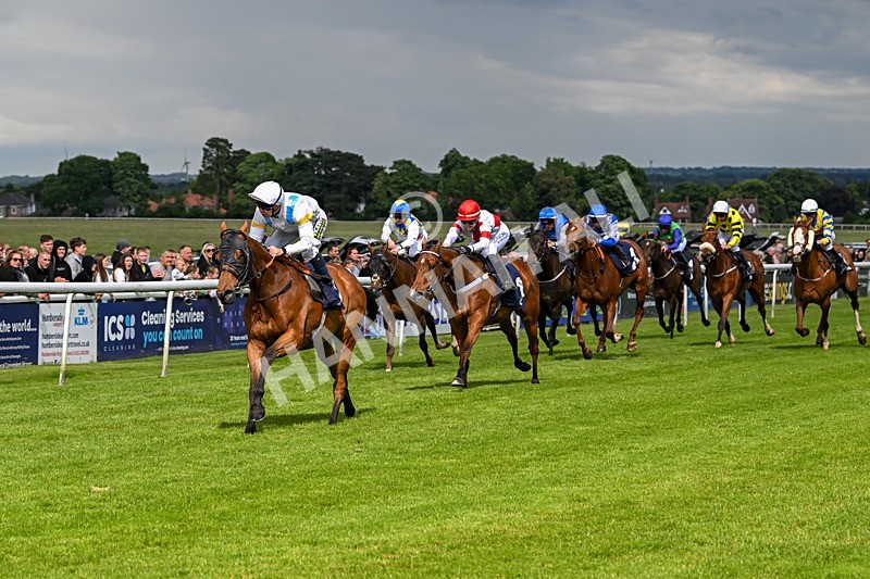 290524-Race 5-Distinction-6453 - Race 5