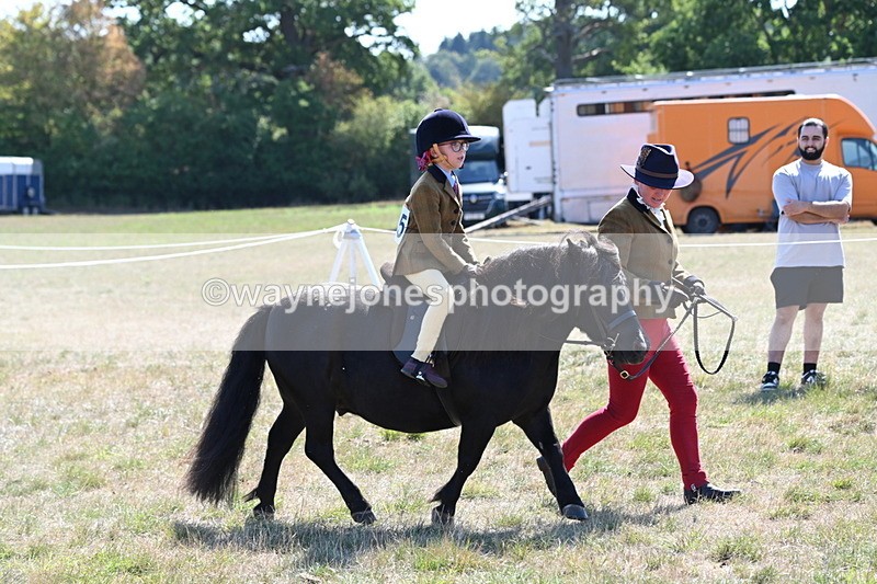 WJ6_7718 - Class 36 Lead Rein