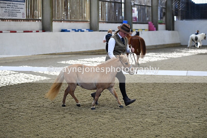 WJ5_3880 - Class 5 In Hand Veterans