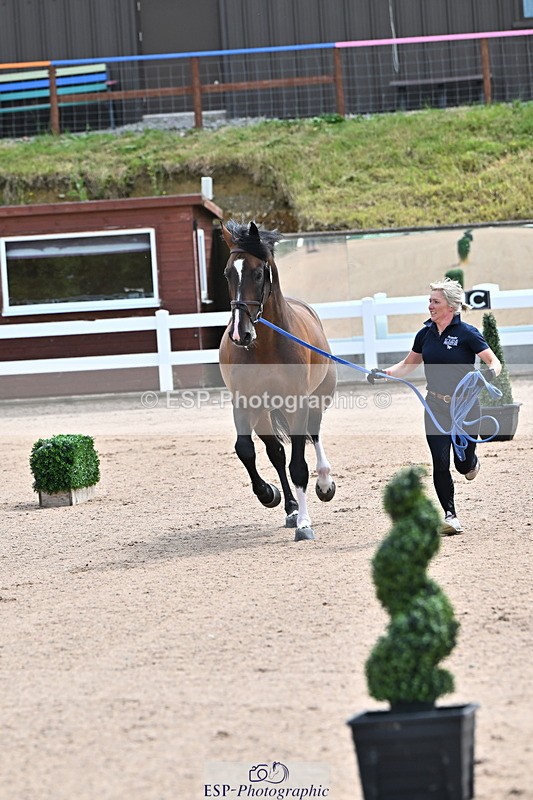 240718A-105236-00875 - Trot Up 11am to 12pm