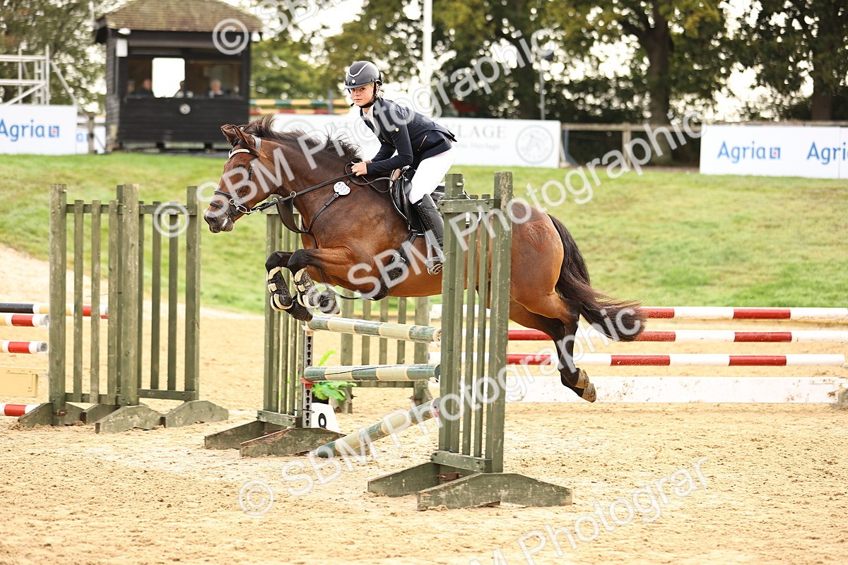 SBM_58432 - J41 - Grand Tour Horse & Pony 95cm