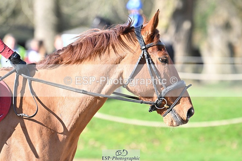 240302-100539-00295 - Cls 1 70-75cm 9.55 to End