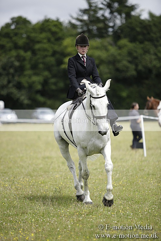 BVR160717-1964 - Side Saddle Classes 16/07/17