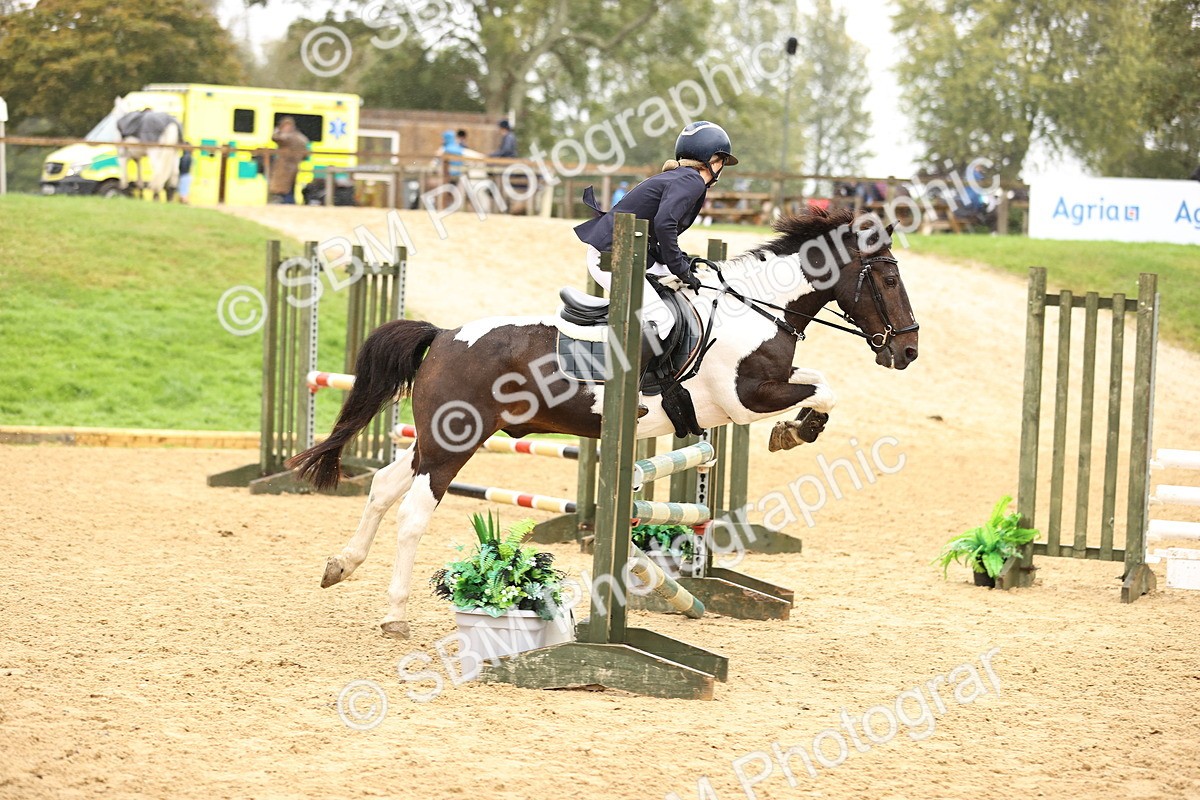 SBM_70047 - Supreme Championship 80cm 85cm