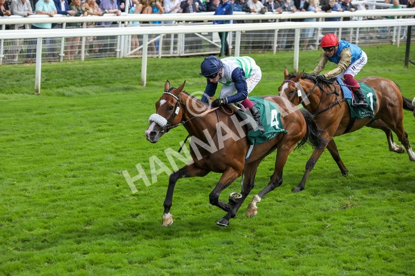 250823-Race 2-Coltrane-5820 - Race 2 2.25pm Weatherbys Hamilton Lonsdale Cup Stakes