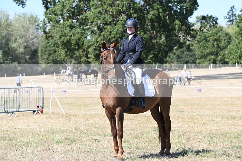 WJ6_8996 - Class 38 Ridden Riding Horse/Pony