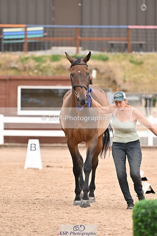 250716-155514-02282 - Trot Up 3.30 to 4.30