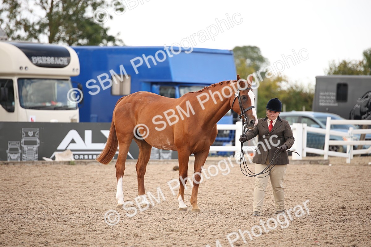 SBM_08225 - Class 27 - IH Competition Horse-Pony