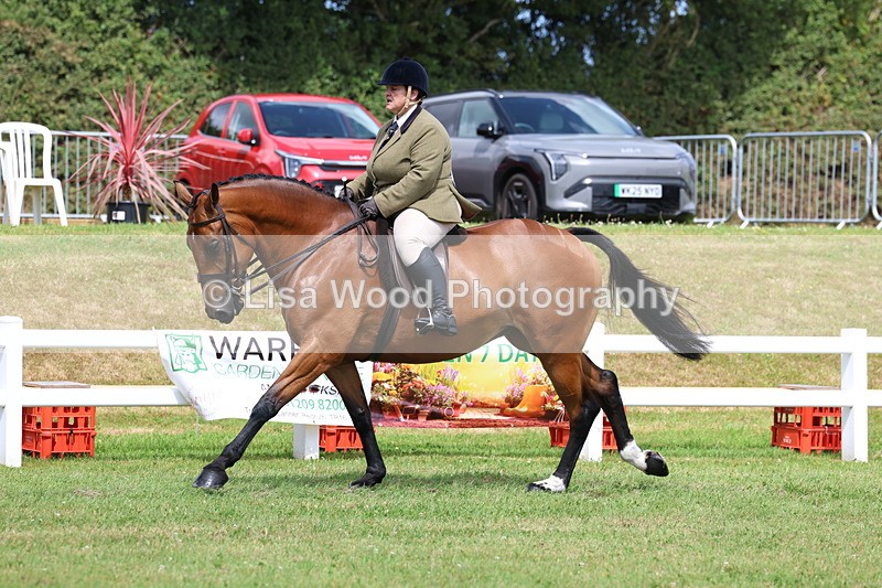 3E7A0590 - Rising Star Ridden Championship