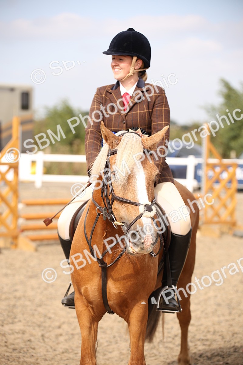 SBM_16106 - Class 408b - Working Veteran 70cm (20+)