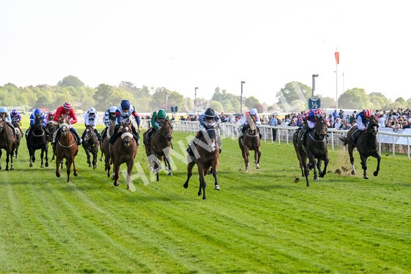 160525-Race 5-The Man-7000 - Race 5 4.15pm Irish Thoroughbred Marketing Handicap