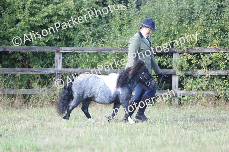 20250831-1380 - Class 21 - Inhand Open