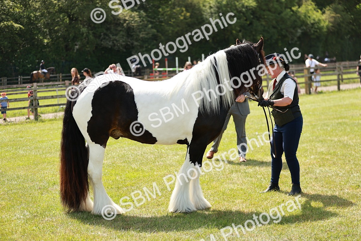 SBM_04165 - Class 39-40 - BSPA Coloured In Hand
