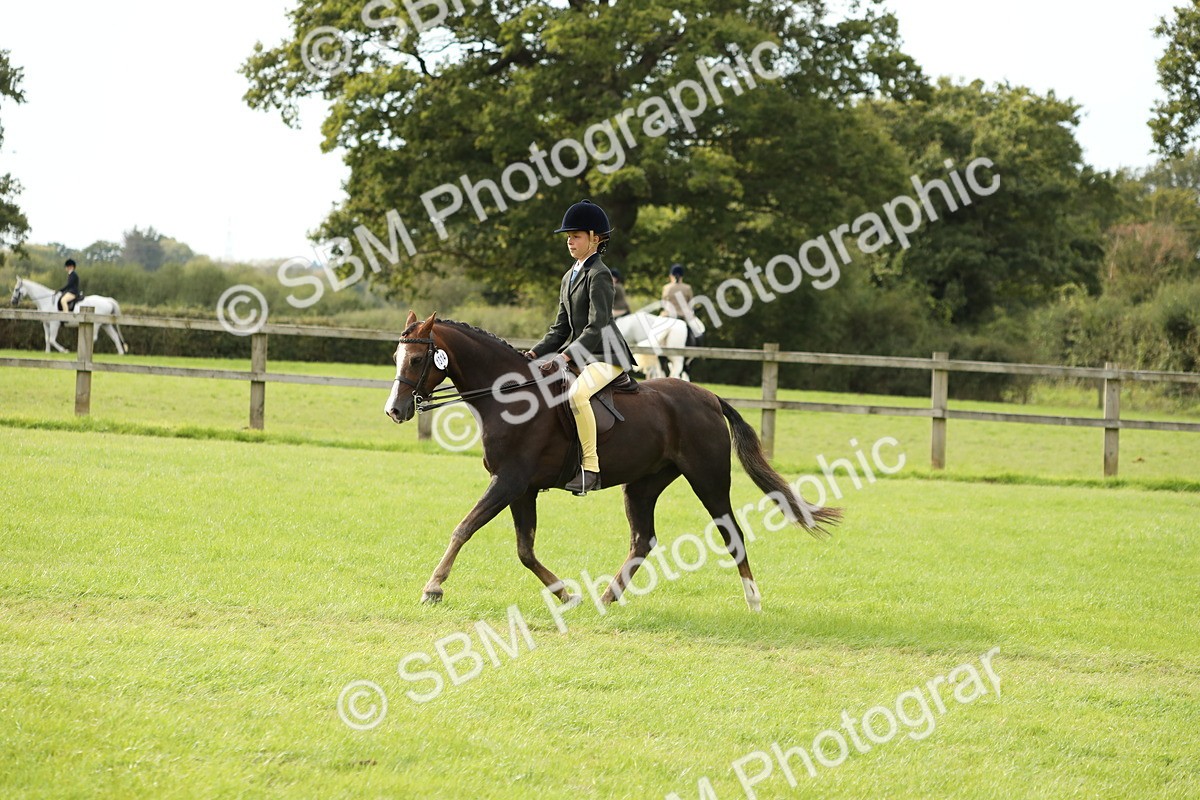 SBM_71502 - S41 - Ridden Equitation (Best Rider)